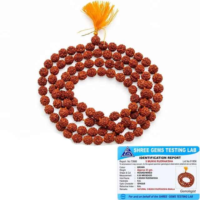 Rudraksha Mala 108 Beads Original