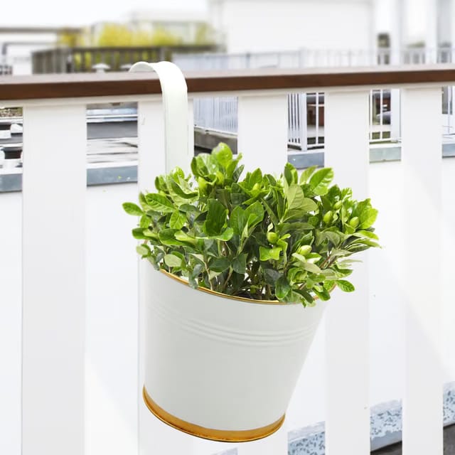 7 Inches Halley Railing Planters for Balcony, Hanging Pots for Plants