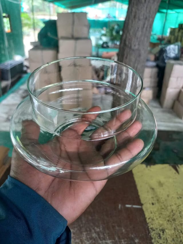 Premium Glass Decorative Bowl