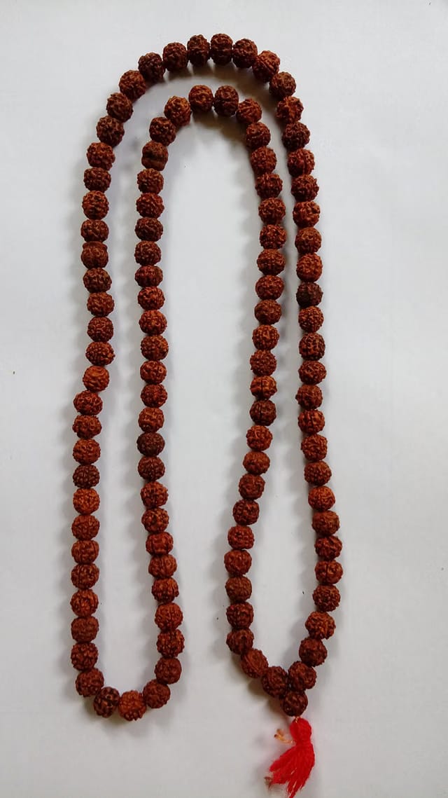 Rudraksha 5 Mukhi Rudraksha Jaap Mala/Beads for Pooja (Astrology) Medium(108+1 Beads) and Certified, Multi