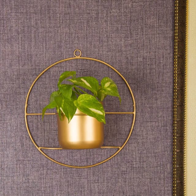 Wall Hanging Metal Planter Pots For Plants Indoor Living Room Balcony Patio Garden Home Decoration (Metal), Multicolour