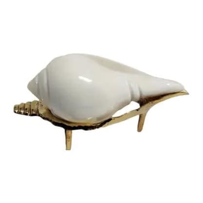 Gift Liya Kya Natural Non-Blowing Puja Shankha or Jal Sankha/Pani Wala Shankh for Pooja, Aarti