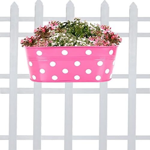 Dotted Oval Railing Planter for Balcony with Detachable Handle (Magenta, 12 inch)