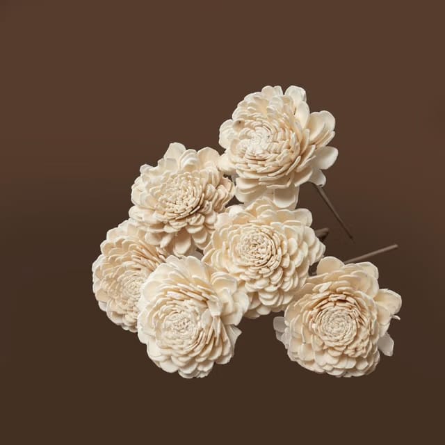 Idika Living Shola Pith Flower for Home & Office Decor