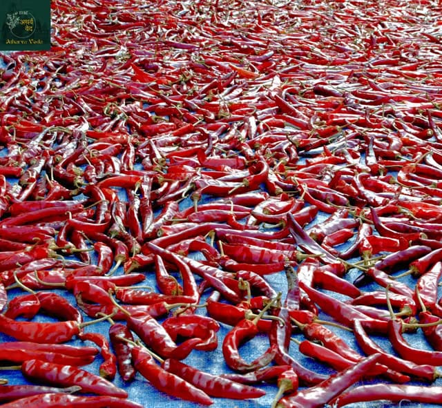 The Atharva-Veda Sabut Lal Mirch Dry Red Chilli Whole 150gm, ??? ????? HOT Dried Red Chillies [ PREMIUM & HANDPICKED