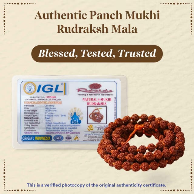 Panchmukhi Rudraksha Mala