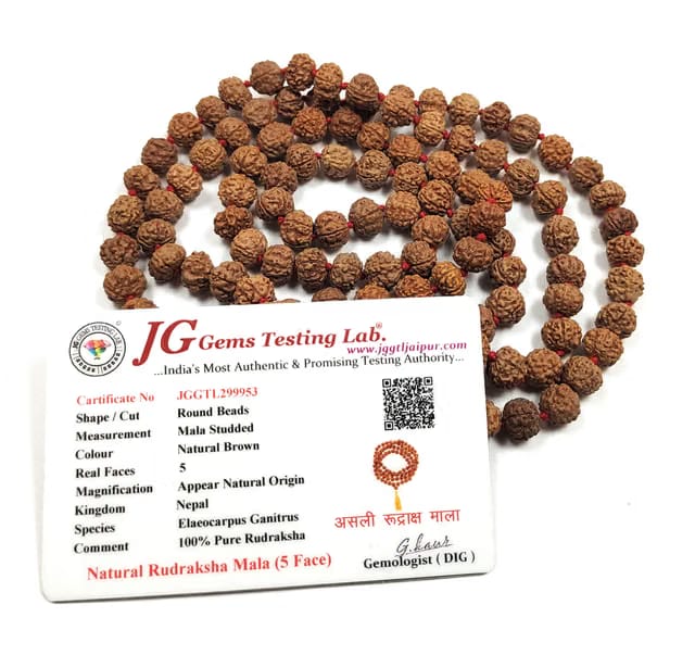 rocksmins Natural Original 5 Panch Mukhi Rudraksha Jaap Mala with Lab Certificate
