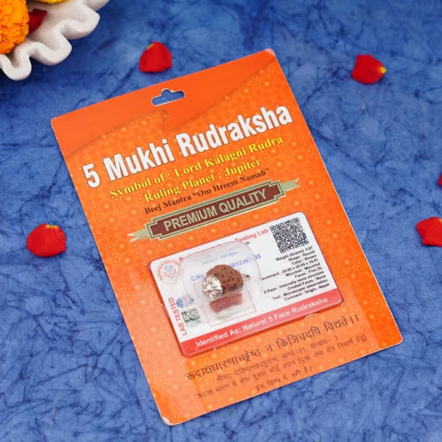 5 Mukhi Rudraksha