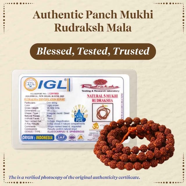 Panchmukhi Rudraksha Mala