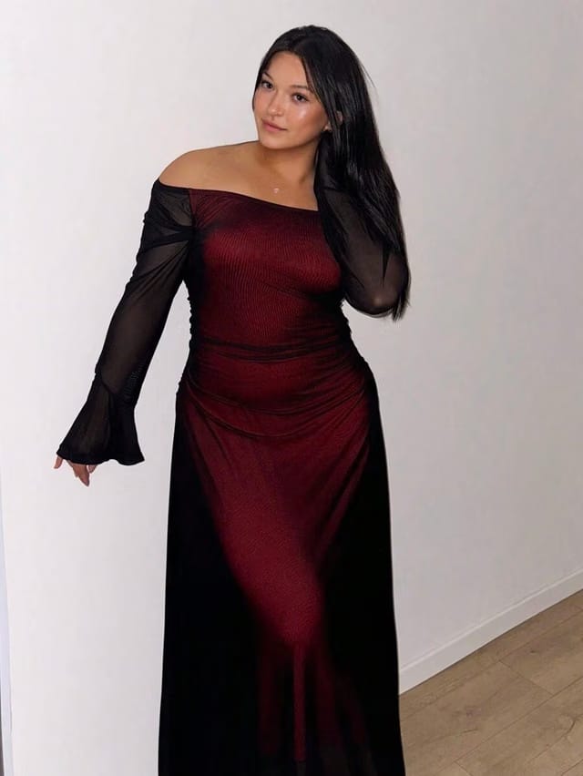 Women's Plus Size Sheer A-Line Dress