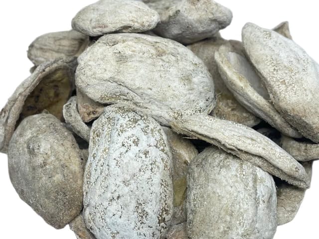 Ewsip Ambula