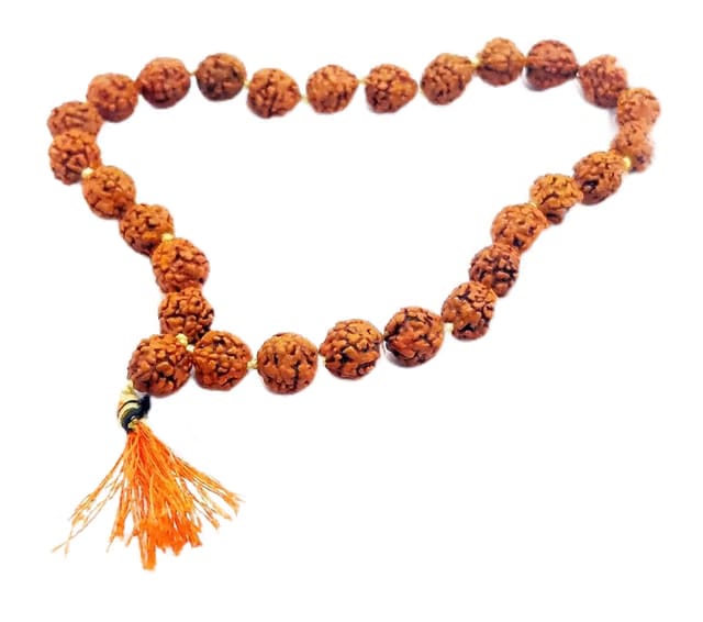 Achleshwar Nepali 5 Mukhi Rudraksha Mala 27 Plus 1 Beads