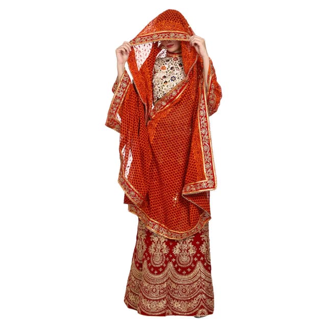 Women's Uttarakhand Handmade Hand Embroidery Chiffon Pichora (Maroon and Yellow, 3.25 Metre Size)