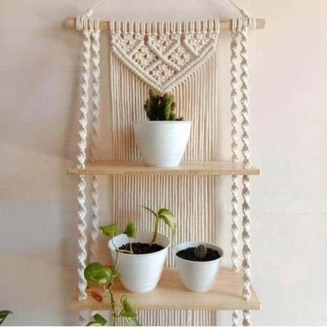 Macrame Wall Hanging Shelf with 2 Wooden Tiers