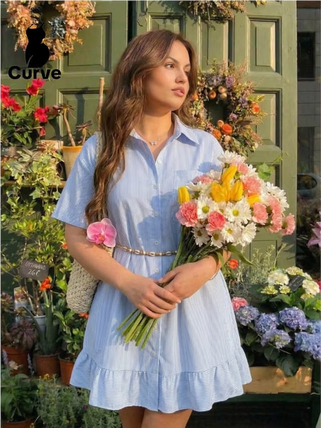 Women's Plus Size Ruffle A-Line Dress